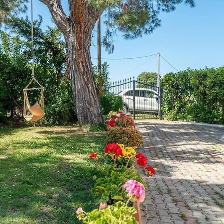 Villa Turin - Yourplace Abruzzo 托里诺迪桑格罗 外观 照片