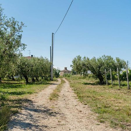Villa Turin - Yourplace Abruzzo 托里诺迪桑格罗 外观 照片