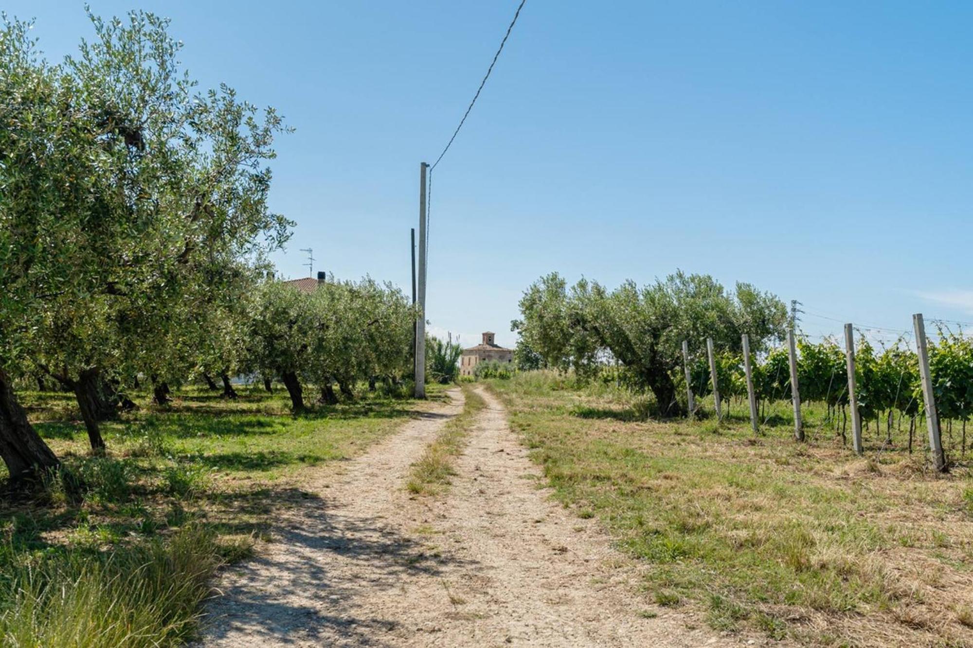 Villa Turin - Yourplace Abruzzo 托里诺迪桑格罗 外观 照片