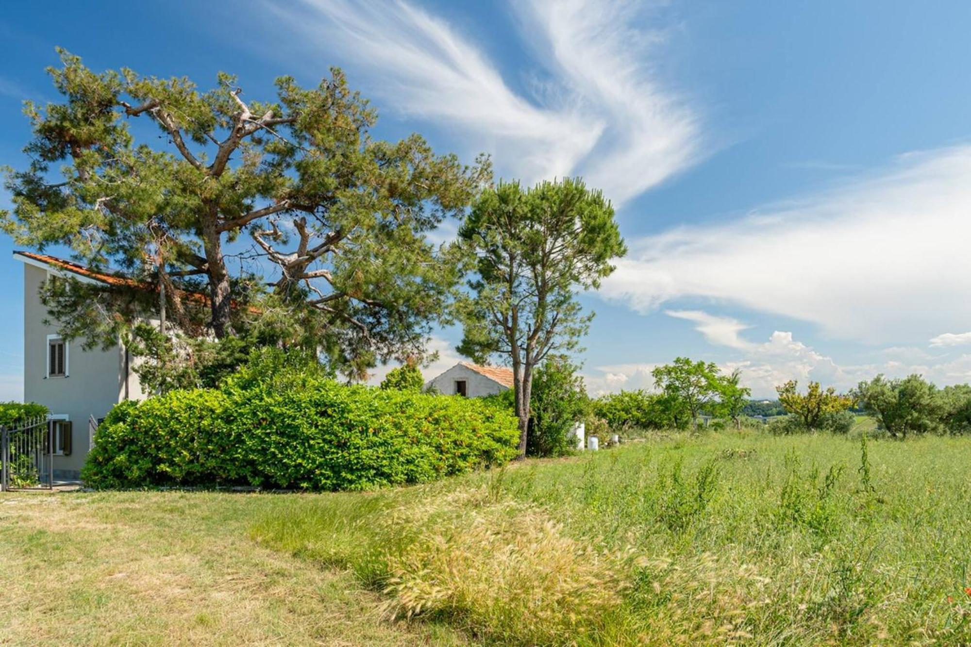 Villa Turin - Yourplace Abruzzo 托里诺迪桑格罗 外观 照片